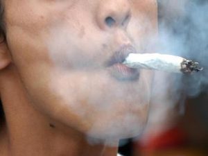 Η Ολλανδία νομιμοποίησε την καλλιέργεια μαριχουάνας