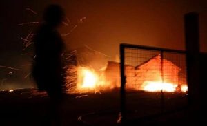 Τραγωδία στην Πορτογαλία - 62 οι νεκροί στην δασική πυρκαγιά